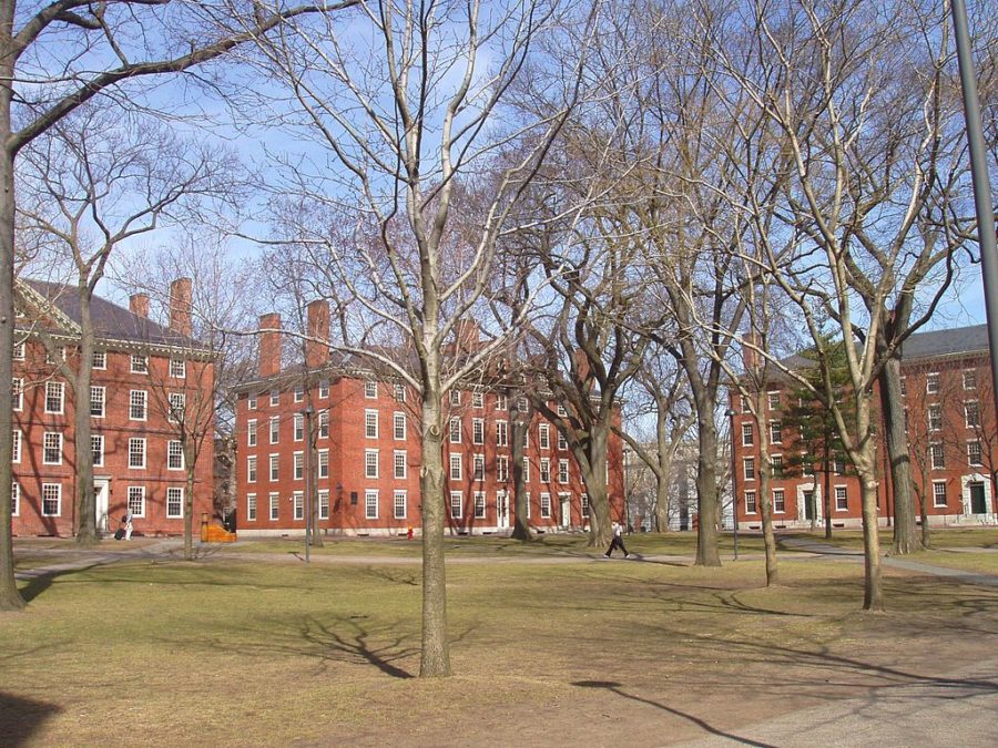 College Focus: Harvard University