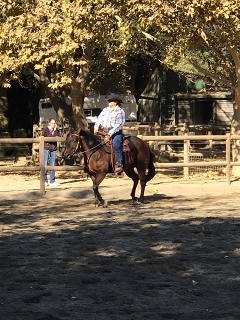 Western Pleasure & Ranch Horse Schooling Show Nov.3