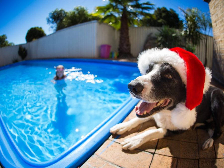 With the seasons flipped in the Southern Hemisphere, Christmas is a whole different experience.