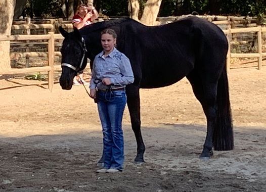 Western Pleasure & Ranch Horse Schooling Show March 15 2020