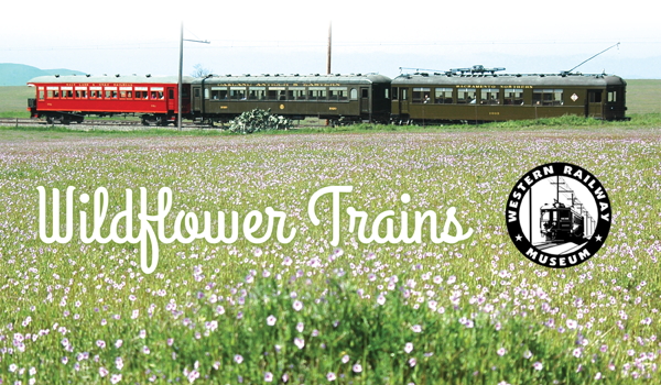 Scenic Wildflower Train in Suisun March.28.-April.29