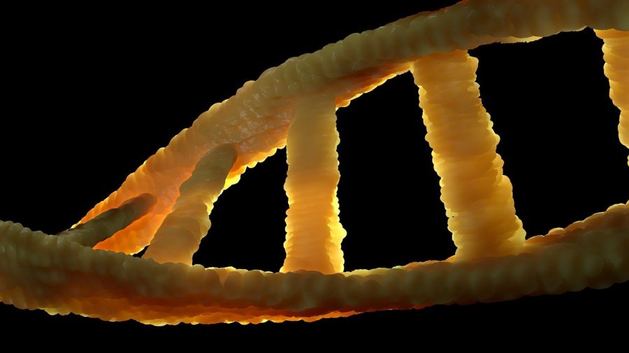 Invisible to the naked eye, DNA tells stories.
