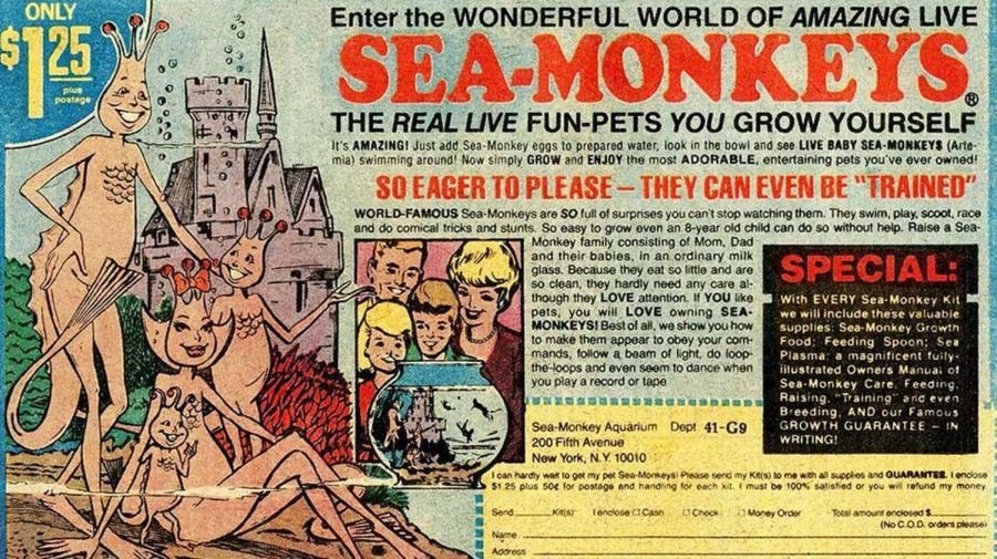 This ad lured many children in the 60s and 70s to send their money into the address on the comic book cover. 