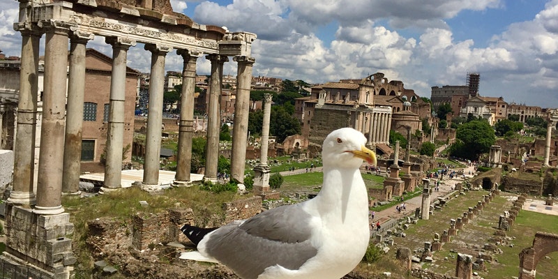 Virtual Tour: A Day in Rome - May 25