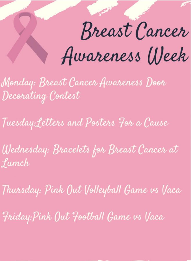 Schedule+of+events+keeps+Breast+Cancer+in+the+spotlight.