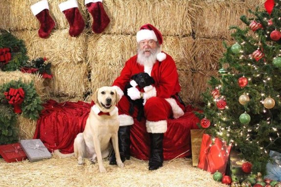Pictures with Santa Claus and Pups - Dec.4