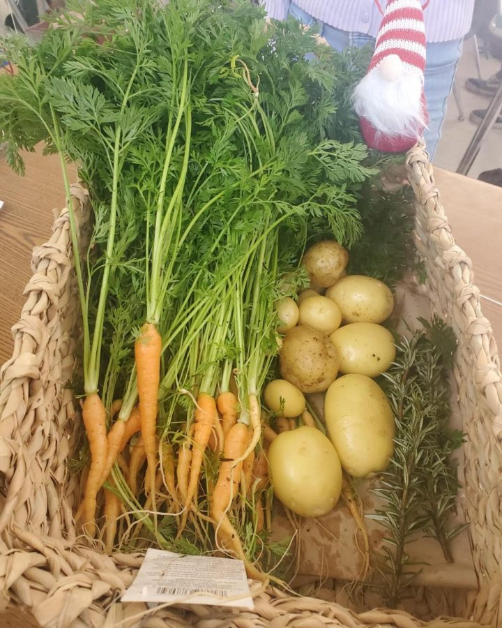 Students planted, grew, and harvested  these potatoes and carrots. Students then delivered to Family Center on December 14. The food cycle / seeing the veggies grow, is pretty amazing for the students to witness and participate in, and guess what, it even TASTES better!  
#grownbyus,good4us
#handsonlearning
#givingback
#LettuceGrow