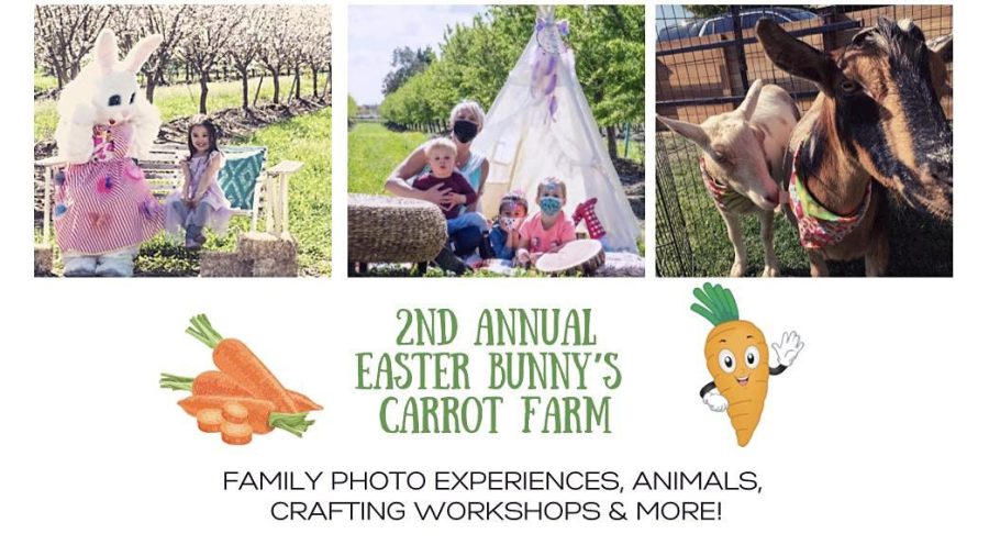 Spring+into+Easter+with+the+Vacaville+Easter+Bunny+Carrot+Farm