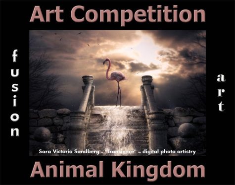 Animal Kingdom Art Competition