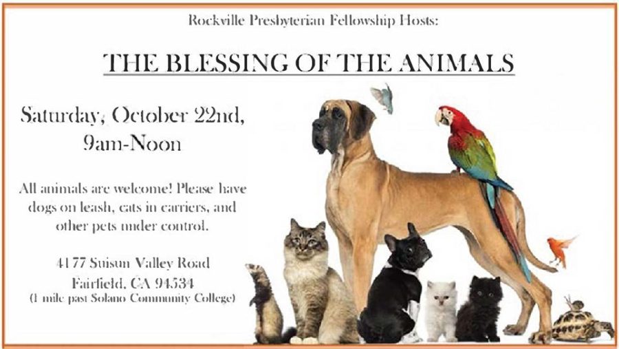 Bring your pets to be blessed
