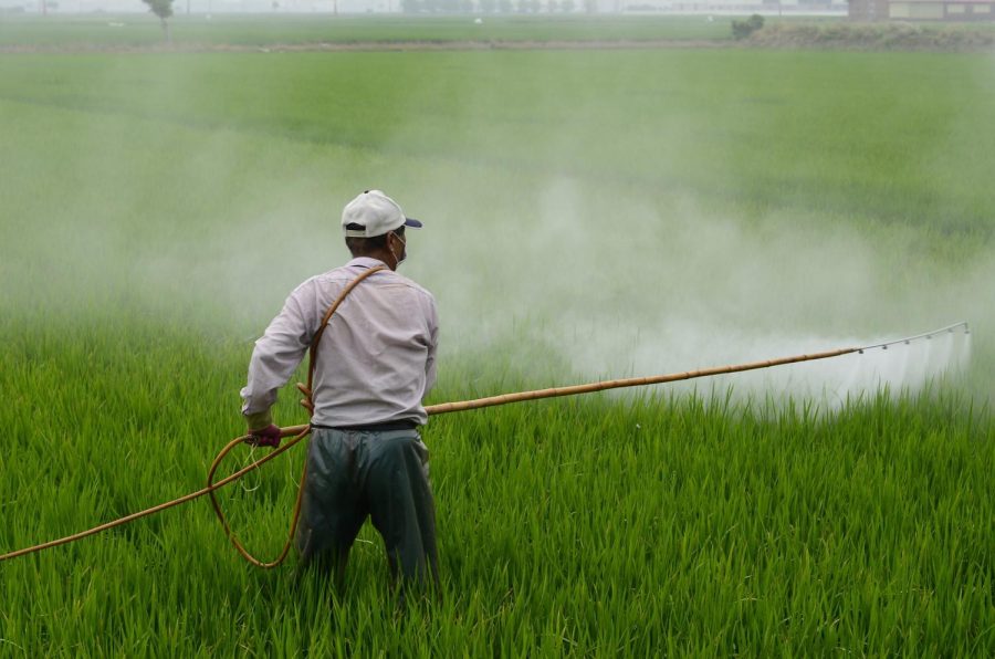 Pesticides are commonly used in agriculture