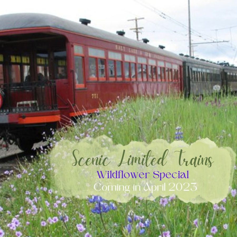 All aboard for a month of wildflowers