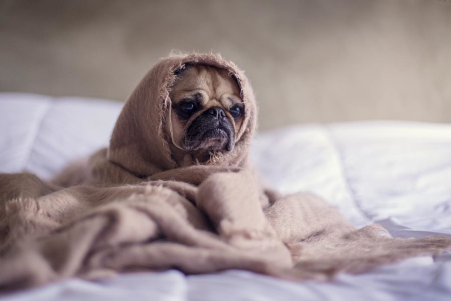 matthew-henry for Unsplash.com
