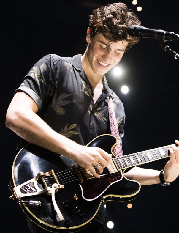 Shawn Mendes – a musical success