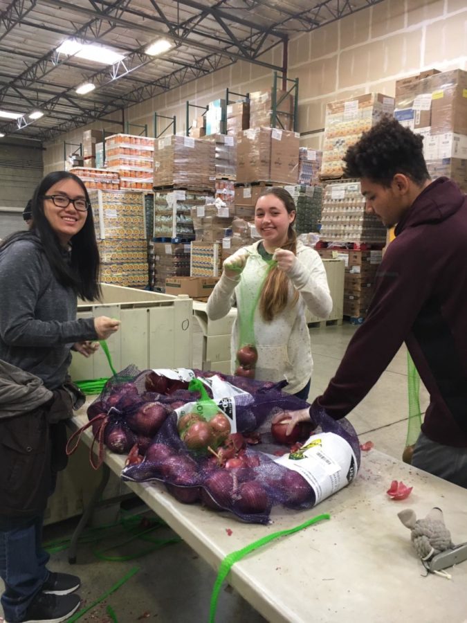 February 2019 B - Food Pantry #1