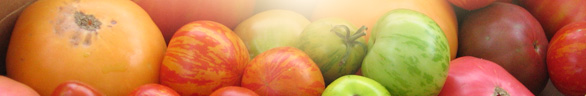 Certified Farmers’ Market & Thursdays on the Green through October 4