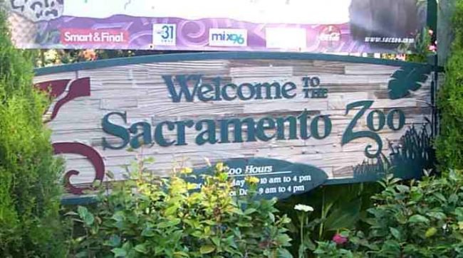 The Sacramento Zoo isn't just for children!