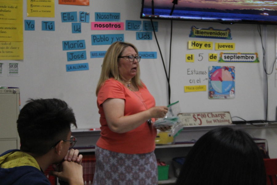 Teacher Feature: Una buena maestra