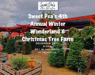 Sweet Pea´s Annual Winter Wonderland Craft Faire & Tree Farm Dec.14