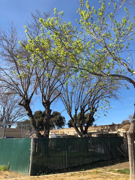 March 2020 B - Spring is in the Air #1