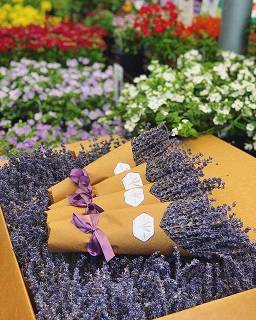 Sweetpea's Sunday Markets weekly through October