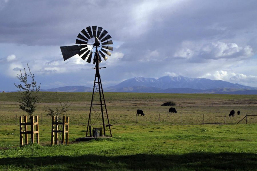Get the rush at Rush Ranch August 15