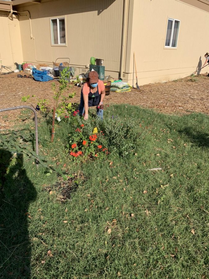 October 2020 A - Garden Club Help #1
