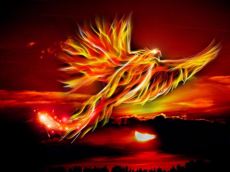 The Phoenix is integrated in many cultures and represents a symbolic meaning.