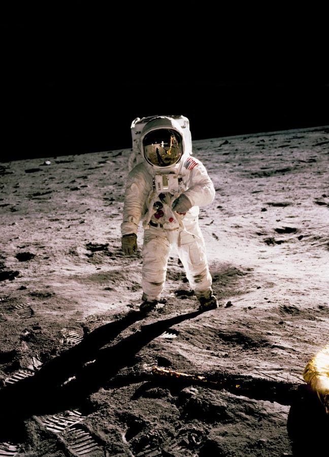 While you may know Neil Armstrong and Apollo 11, have you heard of the animals that went to space?