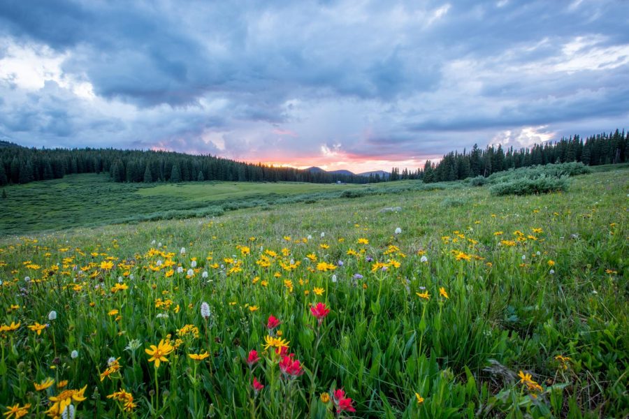 If you didn't already know, the seasons are the way they are because of science.