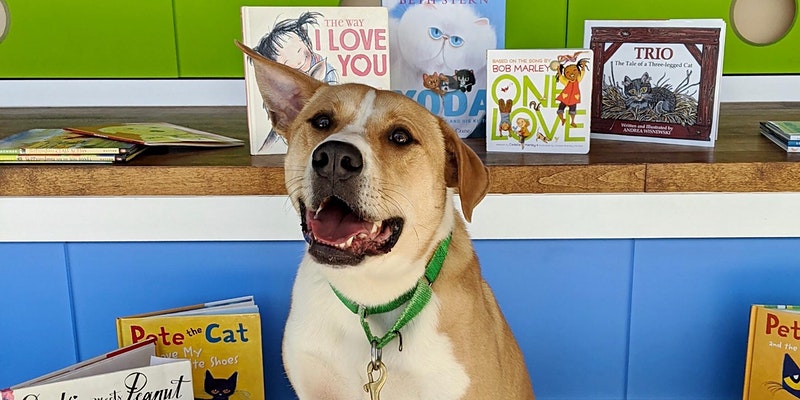 Paws & Pages Family Story Time - August 11