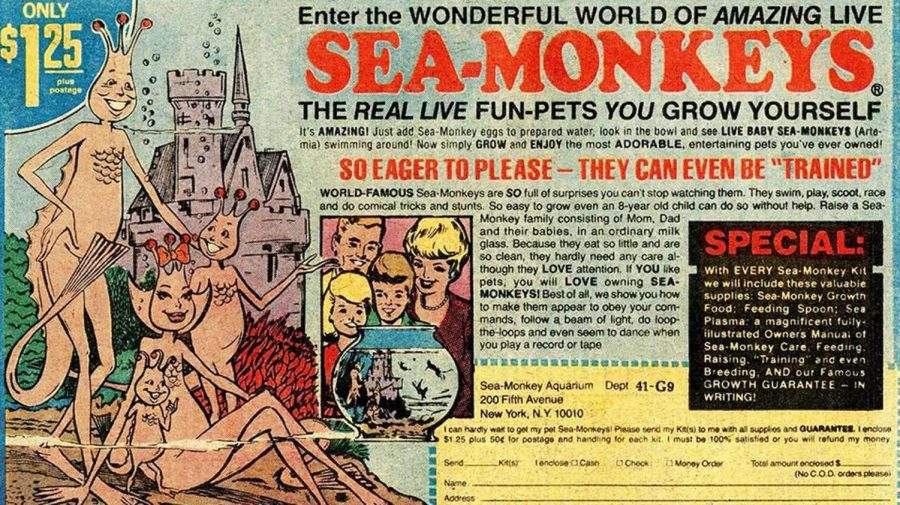 This ad lured many children in the '60s and '70s to send their money into the address on the comic book cover. 