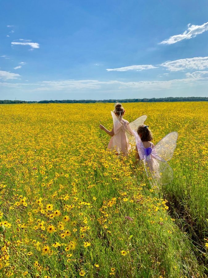 If you look, you might even find fairies in your own backyard.