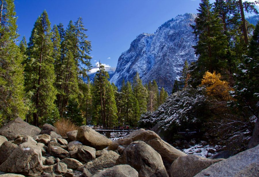 On March 1, 1872, Yellowstone National Park became the world’s first national park.