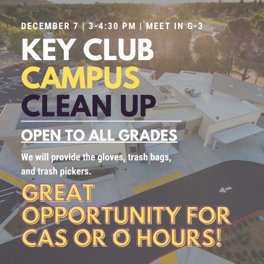 Help make Armijo beautiful