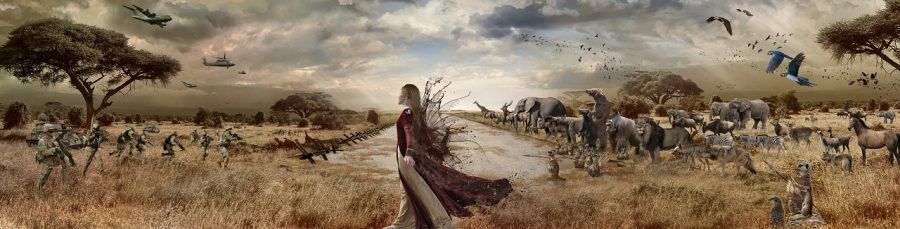 Fantasy and reality merge to create mythological stories.