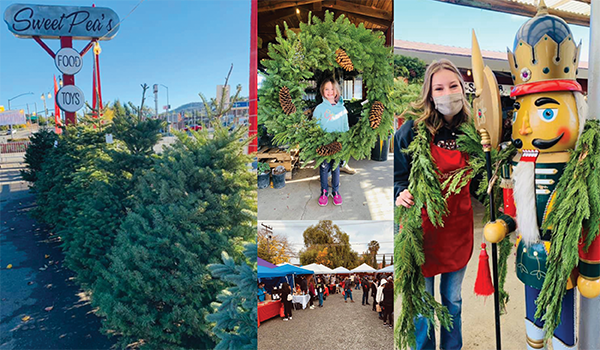 Walking in a Vacaville Winter Wonderland - December 11