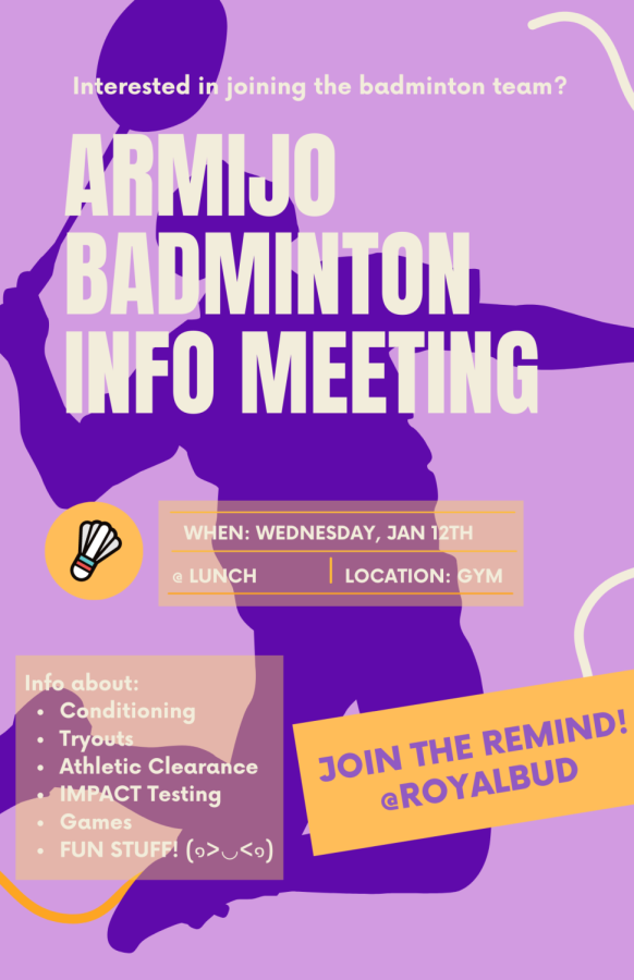 Badminton team seeks new players