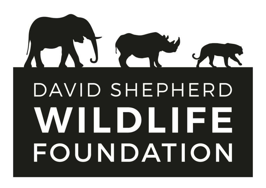 Bring+animals+to+life+with+your+art+and+your+dedication.