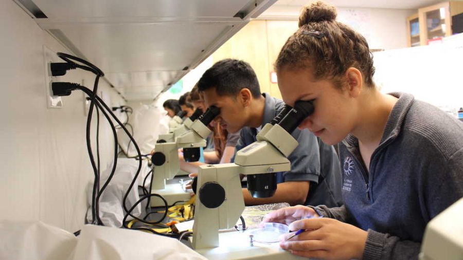 Students can learn much in an formal internship.