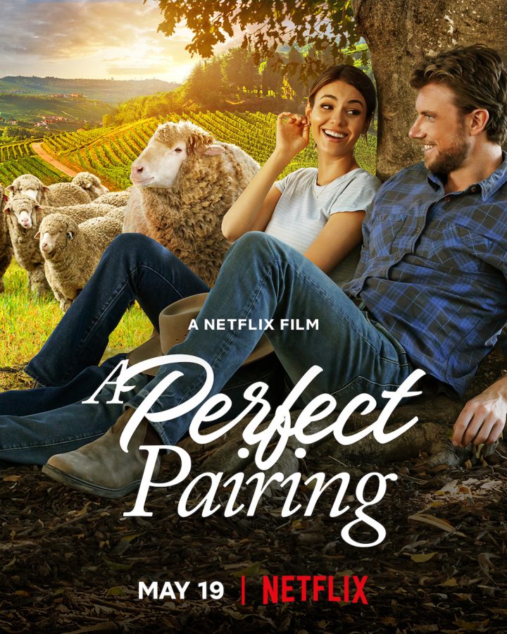 Entertaining film finds its way into hearts comfortably.