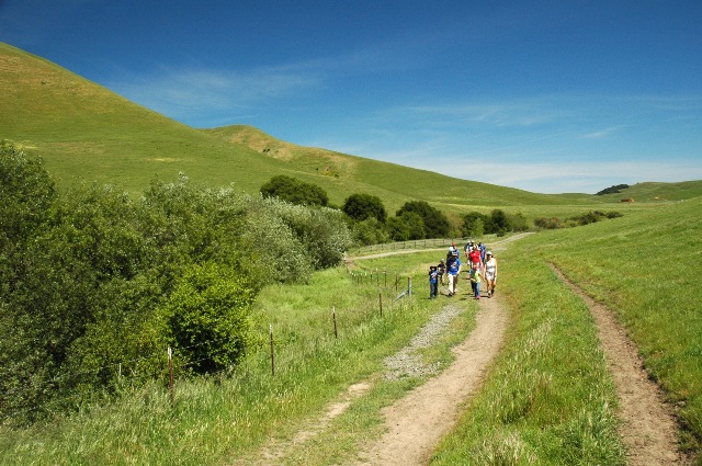 Nature Hike at Lynch Canyon