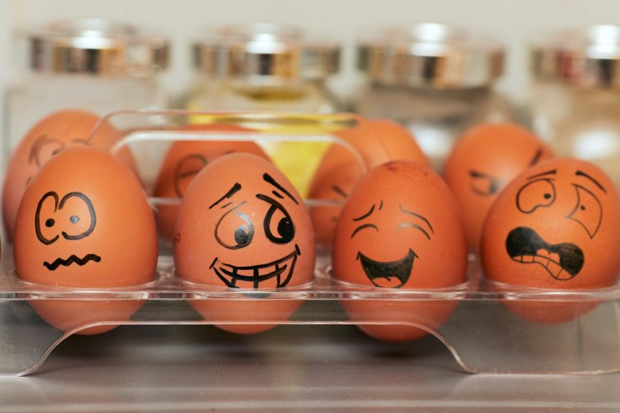 This class won't crack you up, but you'll learn enough not to.