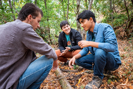 Identified on the community science platform iNaturalist, the species add to California’s rich biodiversity.