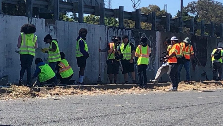 Jalia  (orange vest crouching down facing the wall) found volunteering a lot more enjoyable than she expected.