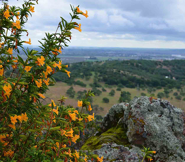 The view is worth the hike, so dont put it off.