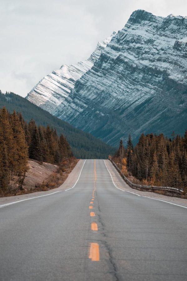 The road to success looks different for each person.