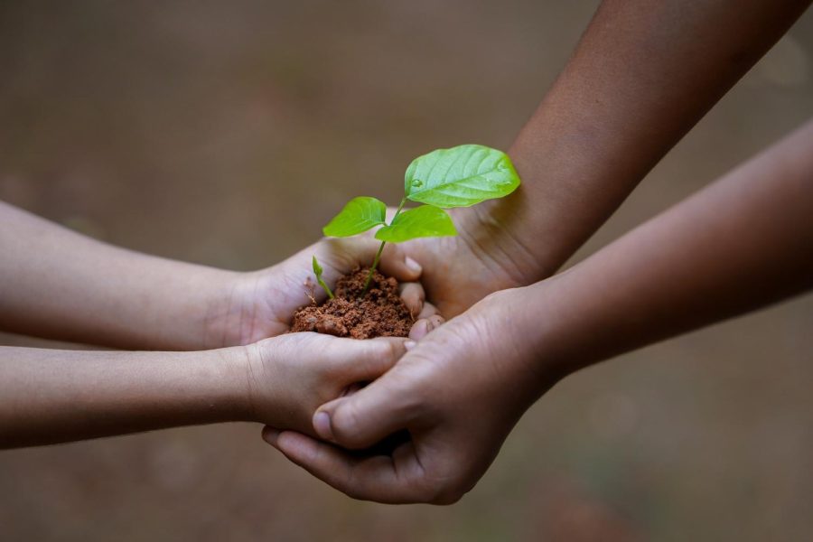 Both humans and plants undergo a similar process of growth