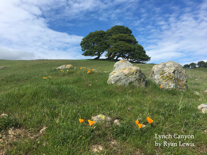 Spring+is+here+and+it+is+time+to+enjoy+the+results+of+all+the+rain.