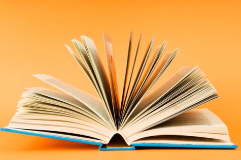 Few books are as iconic or as controversial as The Fountainhead by Ayn Rand.